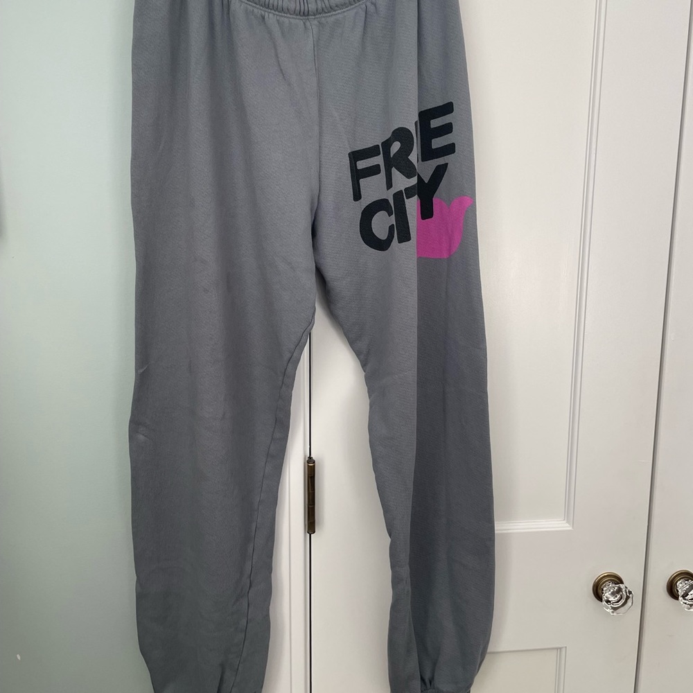 Free City sweat pants